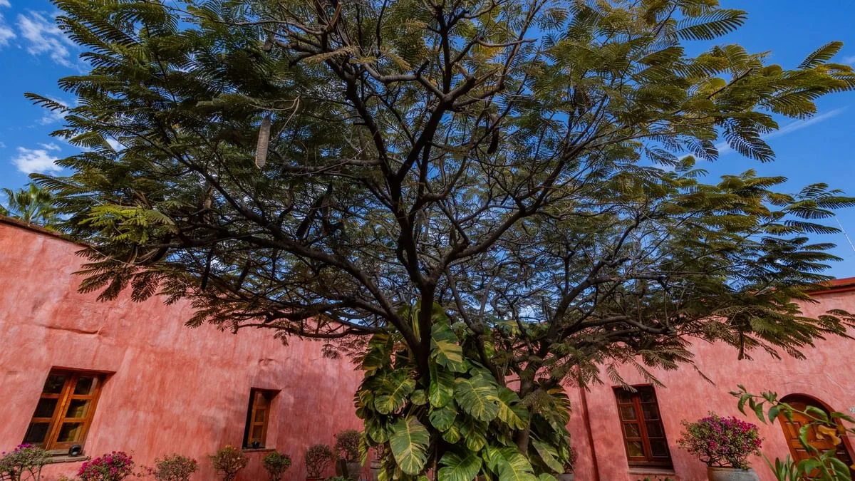 Quinta Real Oaxaca