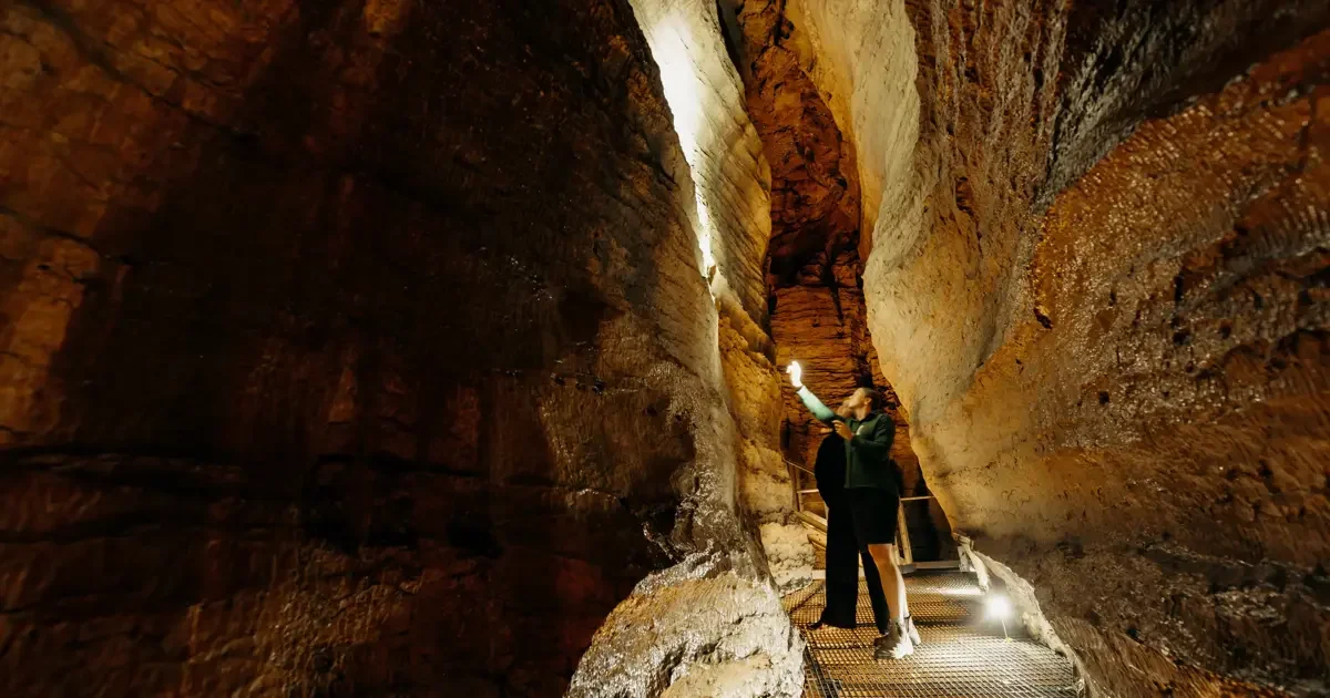 Te Anau Glowworm Caves