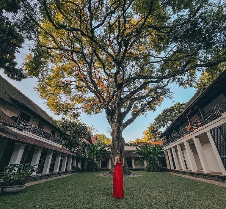 Tamarind Village