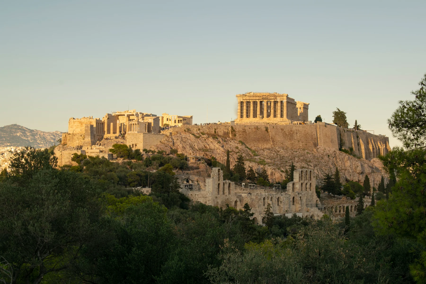Athens — the Acropolis above the trees in warm evening light