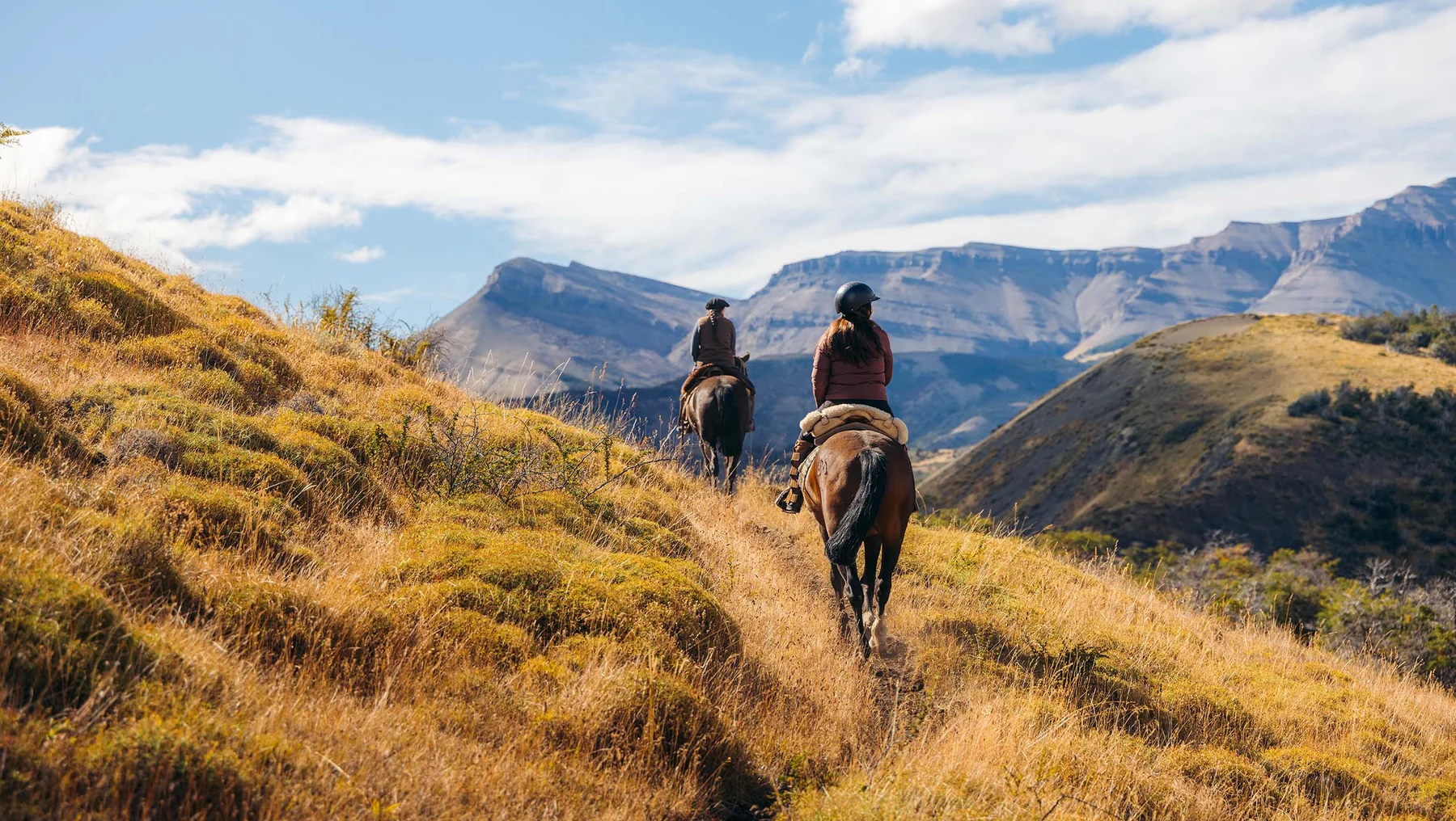Guided Estancia Horseback Ride