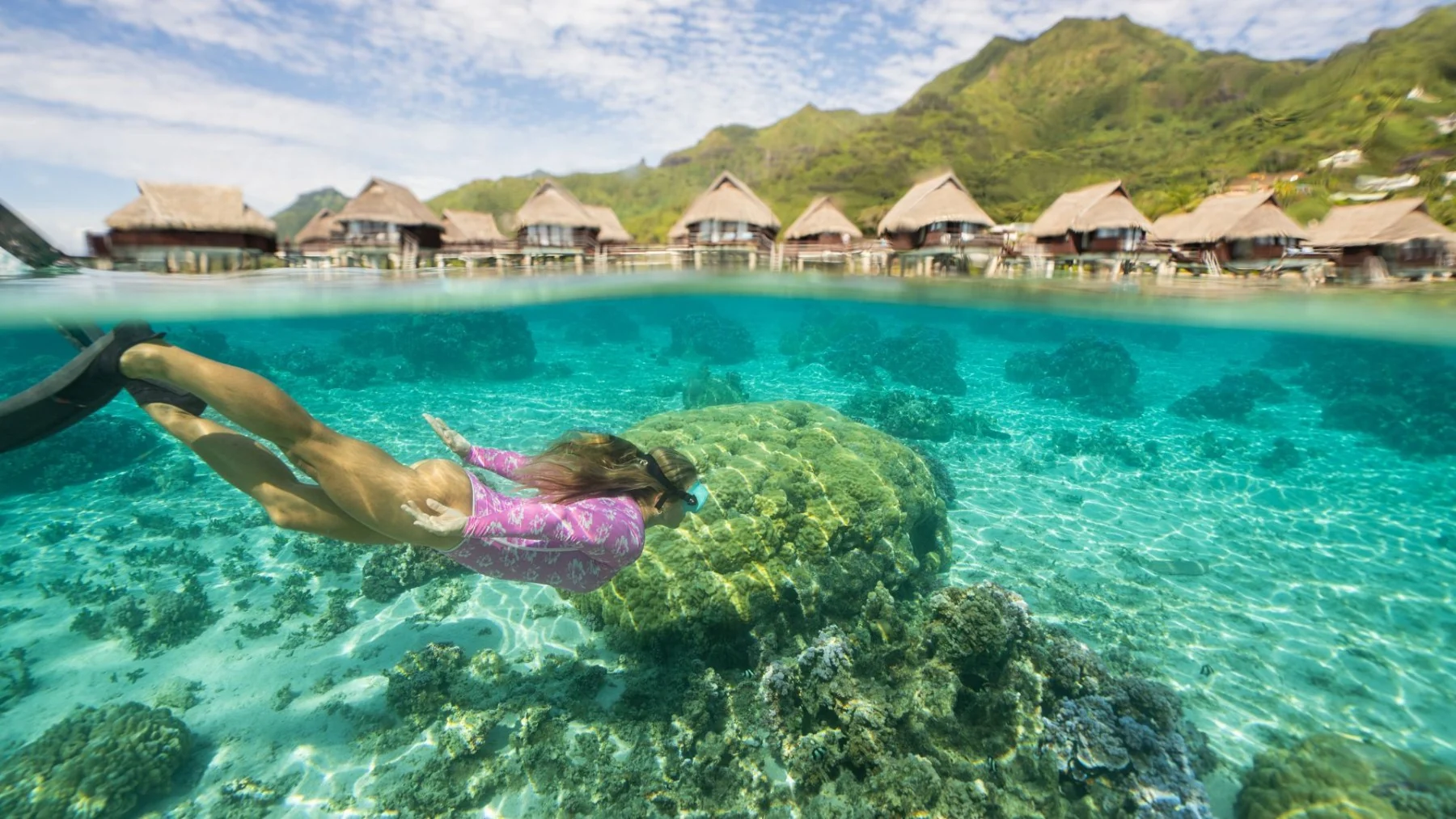 Coral Garden with a Marine Biologist