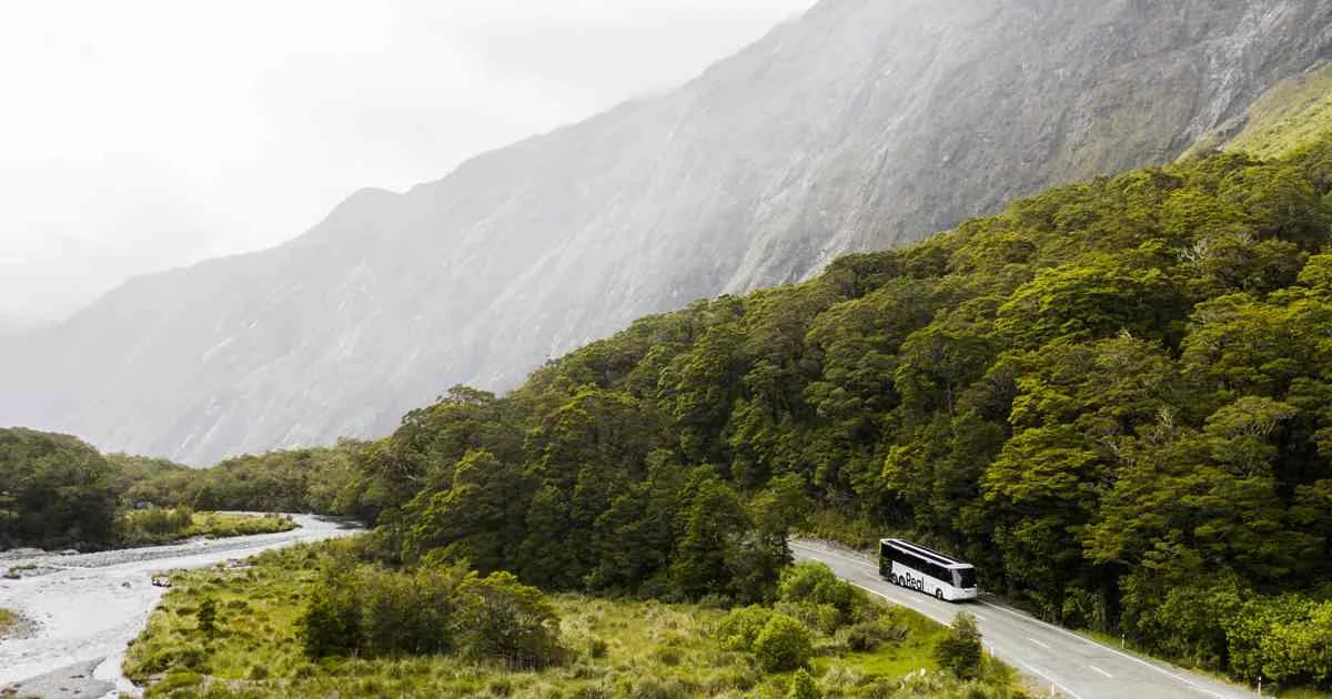 Milford Sound Coach and Cruise