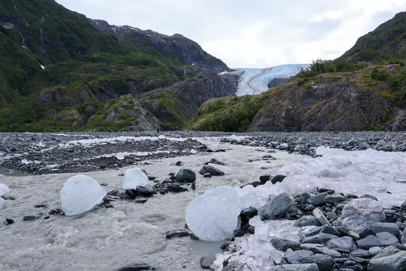 Exit Glacier View Loop