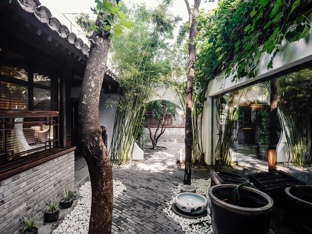 The Orchid Beijing