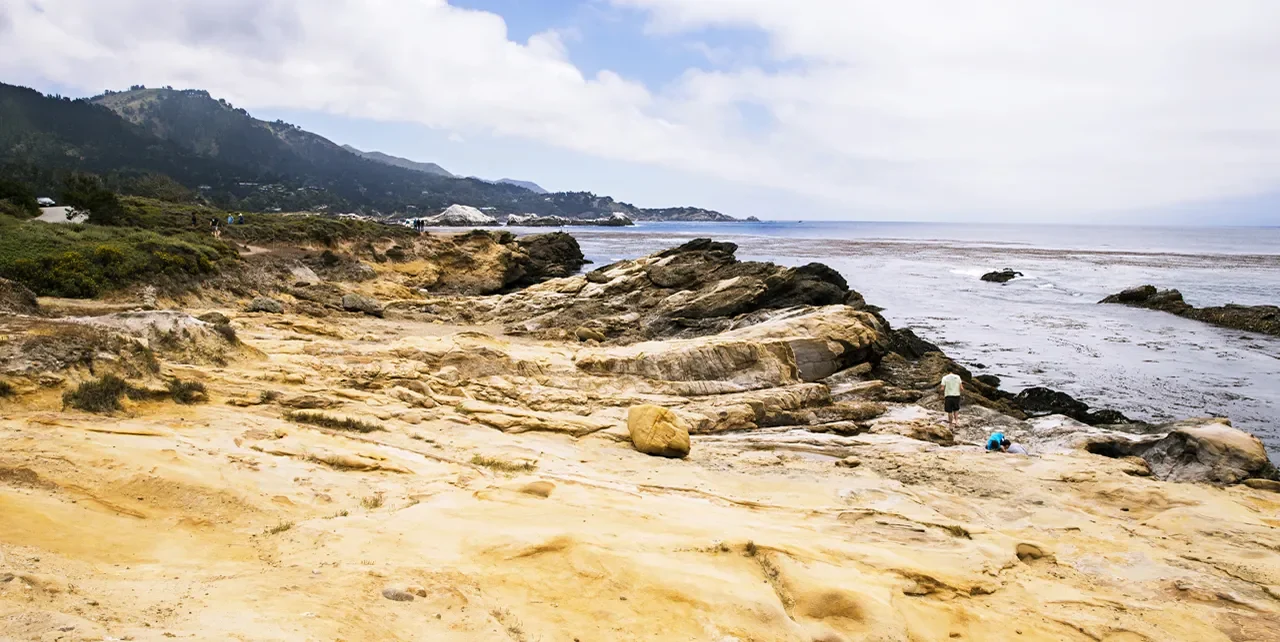 Point Lobos Coastal Walk