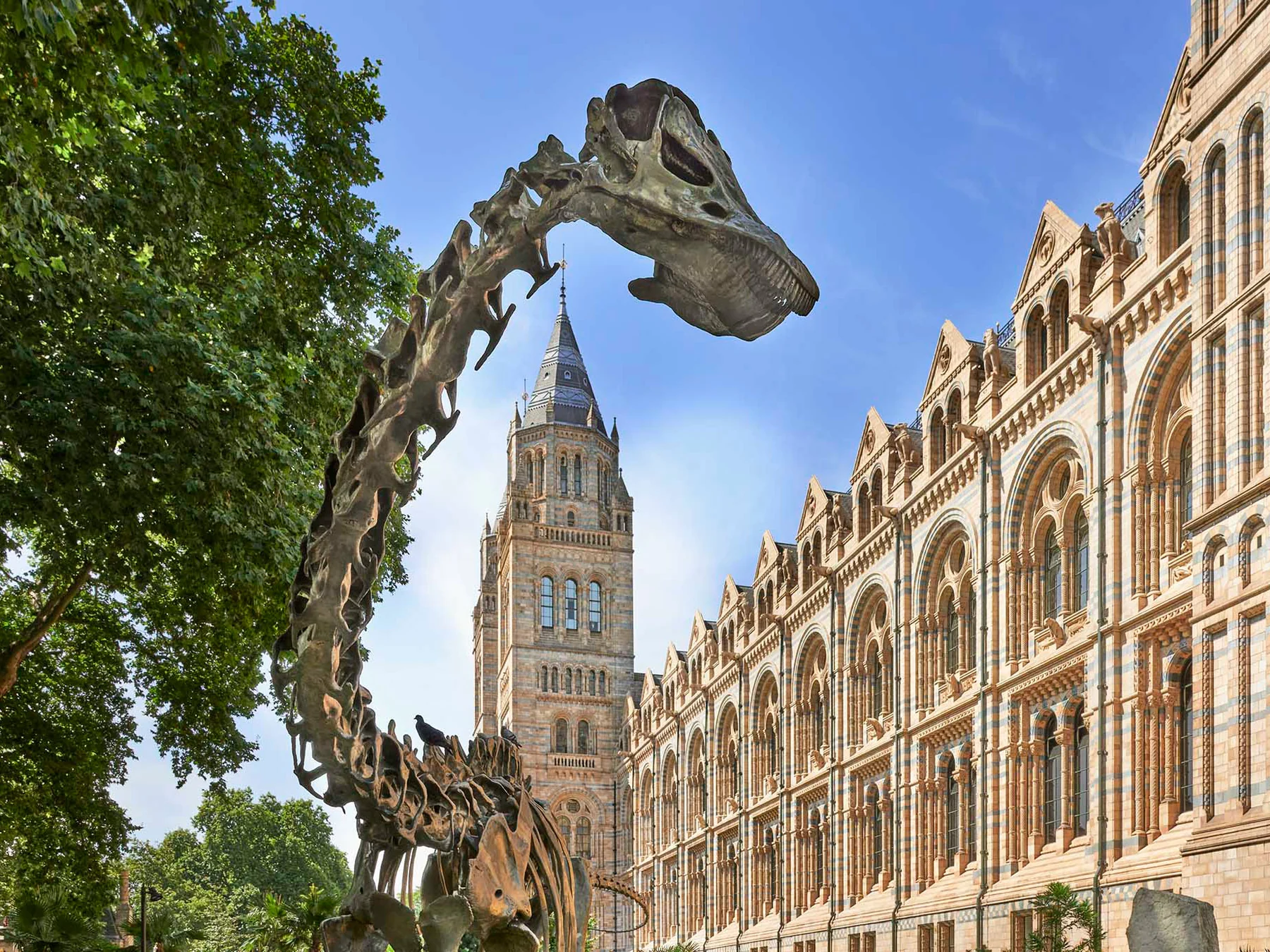 Natural History Museum