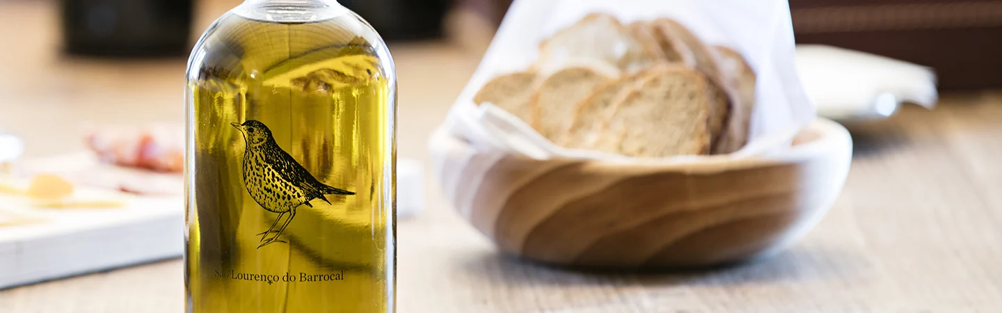 Olive-Grove and Mill Visit
