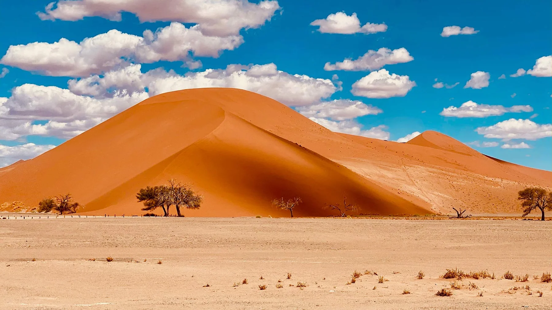 Sossusvlei and Deadvlei Safari