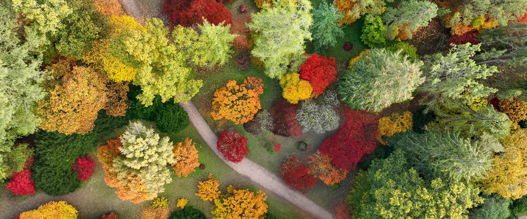 Westonbirt Arboretum