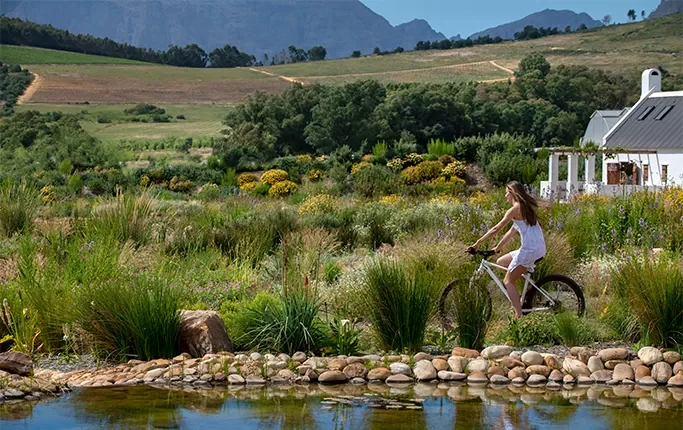 Babylonstoren — Babylonstoren — cycling beside the Fynbos cottages and farm pond
