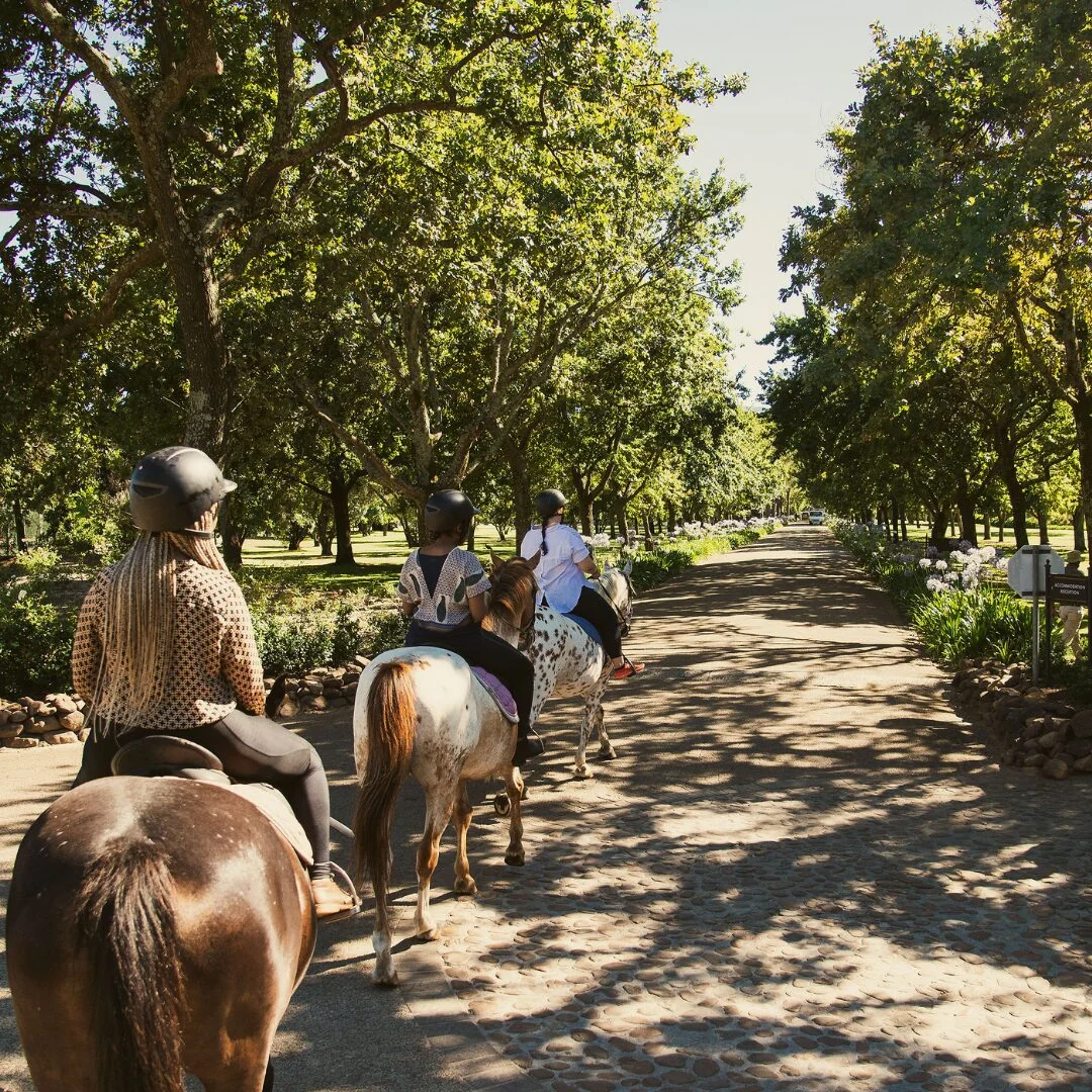 Boschendal Farm Horse Ride